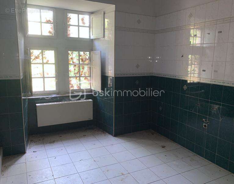 Proche d' Auch - Propriété de 27ha avec Château - photo 8