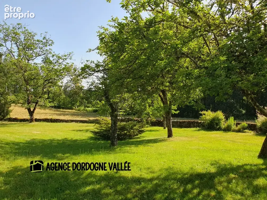 Propriété d'exception en xaintrie, 2,2 ha bois et prés attenants, dépendance ,trés bon état . - photo 13
