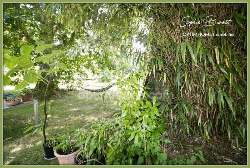 Exceptionnel à léognan, limite gradignan – propriété de caractère sur plus de 1,3 hectare de nature - photo 27