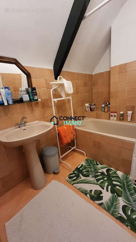 Maison 195 m² à Le Vieux-Marche  - photo 4
