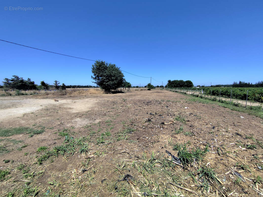 Terrain à SAINT-NAZAIRE