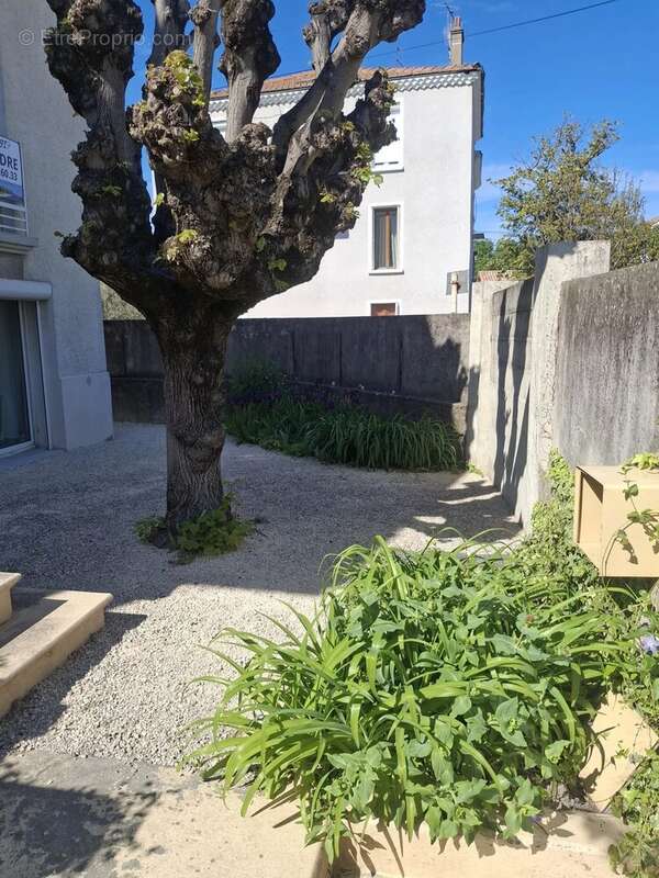 Maison à MONTELIMAR