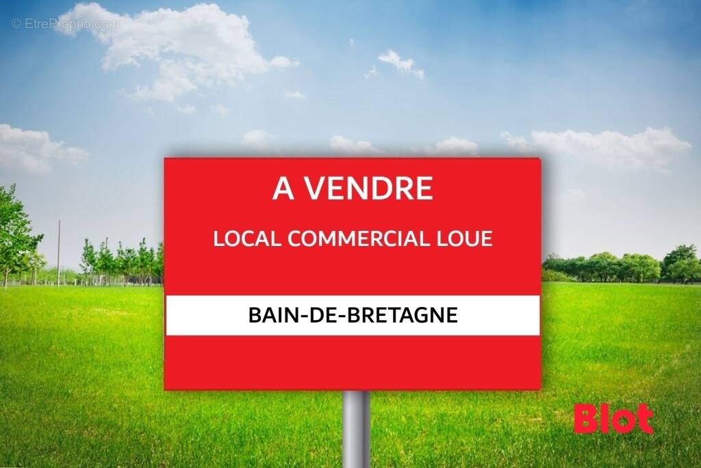 Maison à BAIN-DE-BRETAGNE