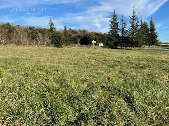 Terrain à CHERVES-RICHEMONT