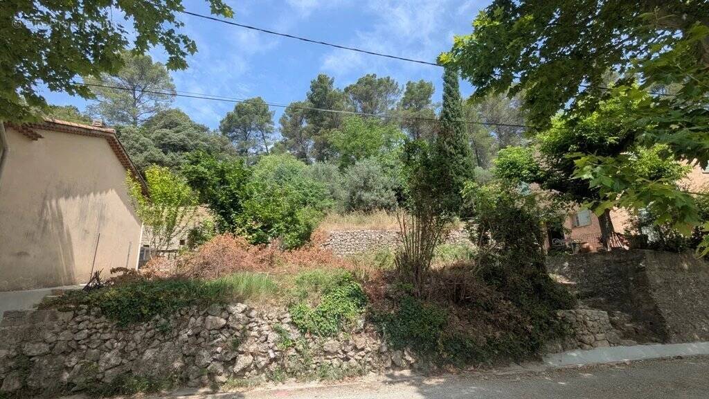 Terrain à MONTFORT-SUR-ARGENS