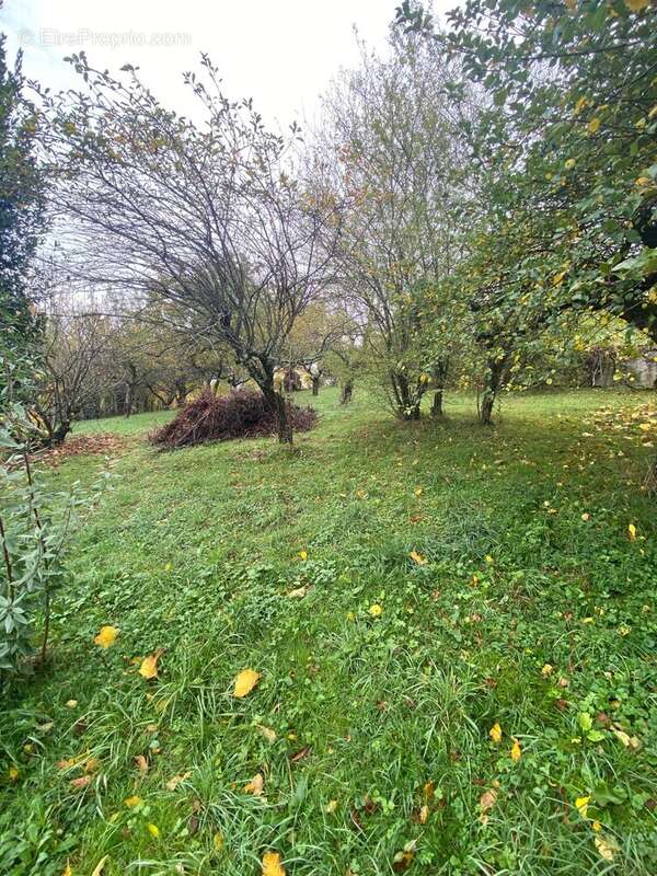 Terrain à SAINT-LAURENT-EN-ROYANS