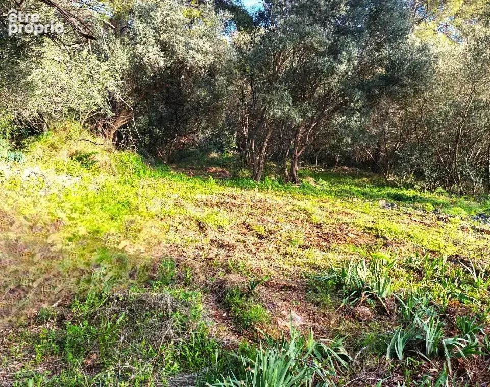 Terrain 442 m² à vendre à Toulon (83200) - photo 6