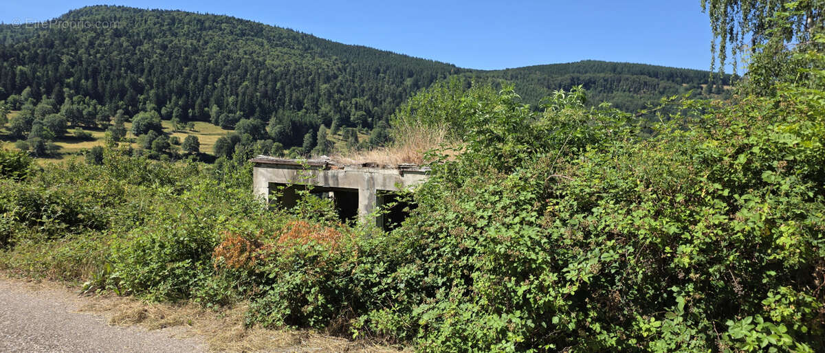 Natzwiller, exceptionnel, terrain à bâtir sur les hauteurs : projet de construction « Prêt à démarrer » avec v - photo 16