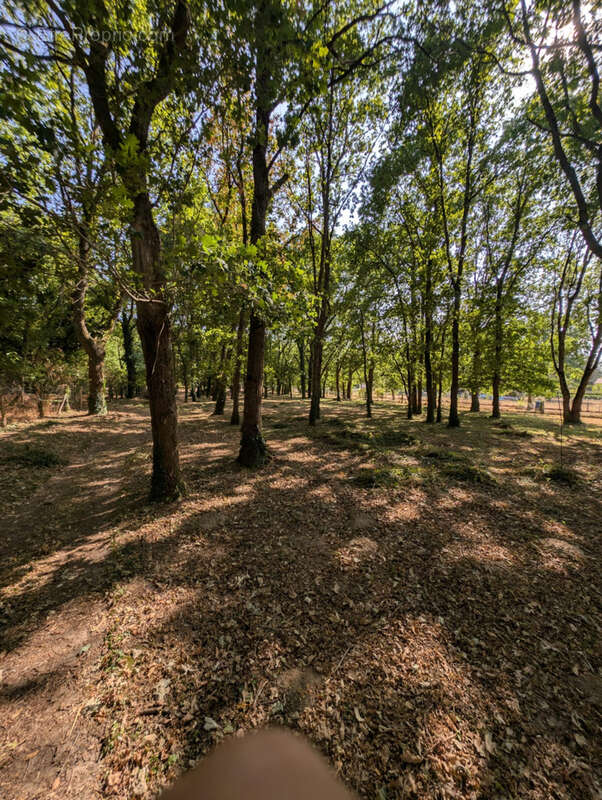 Maison 7 pièces - 158m2 - D'HUISON LONGUEVILLE - photo 14
