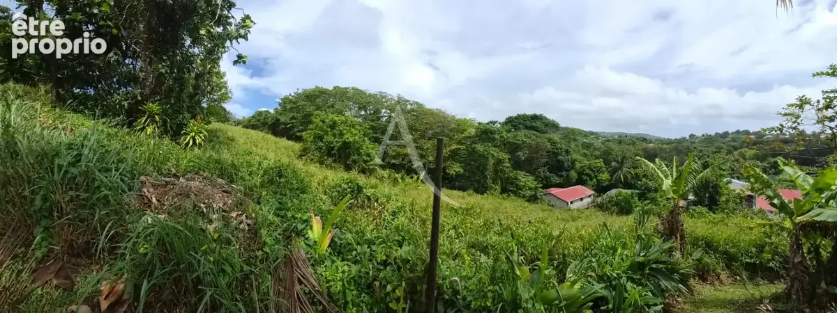 En exclusivite: à ducos terrain de 4546 m2 - photo 2