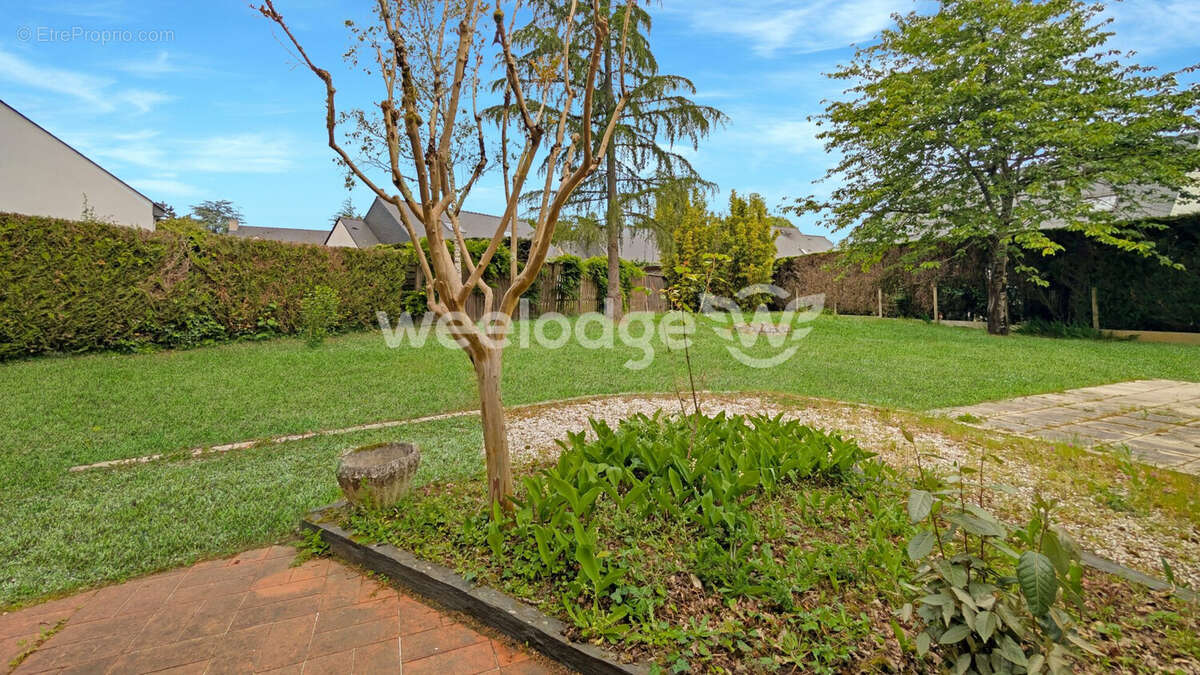 Jardin - Maison à CARQUEFOU