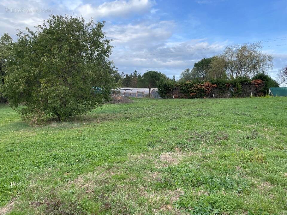 Terrain à BURLATS