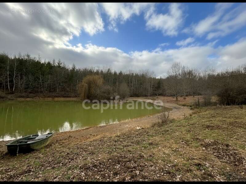  Domaine d’exception de 54 hectares – Calme absolu et nature préservée - photo 18