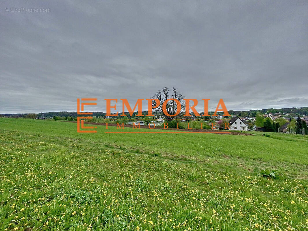 Terrain à WALDIGHOFEN