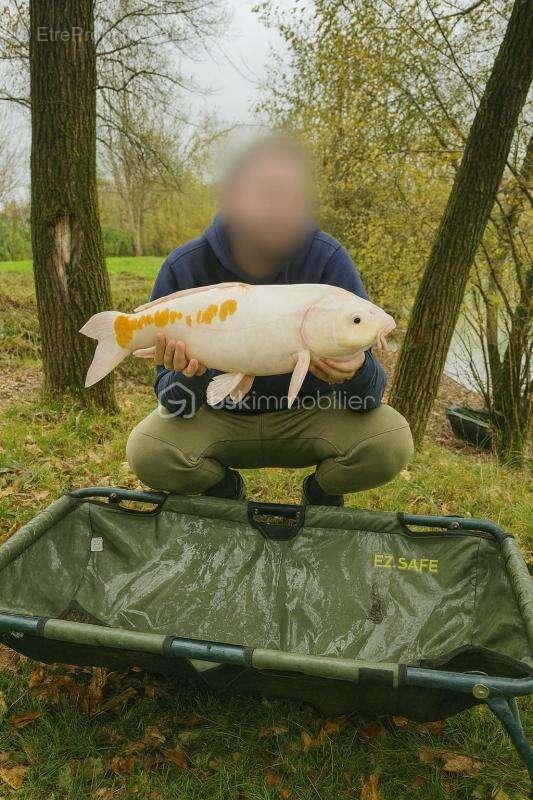 Terrain à SAVONNIERES