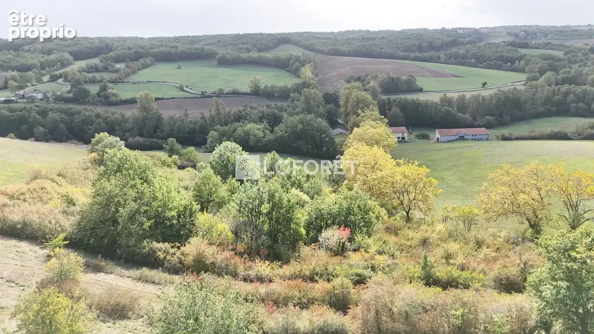 Propriété de 116 hectares !!!  20 minutes Est de Montauban - photo 2