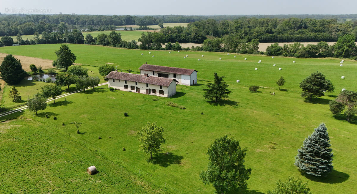 Maison à VILLARS-LES-DOMBES