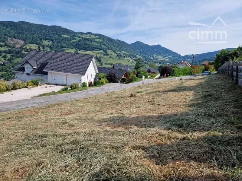 Terrain à THEYS