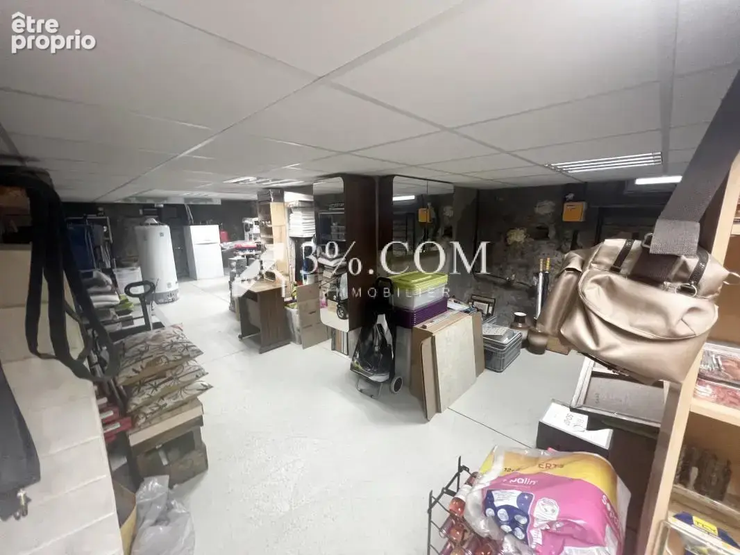Demeure de caractére de 1890 207 M2 54210 Saint -Nicolas -De - photo 29