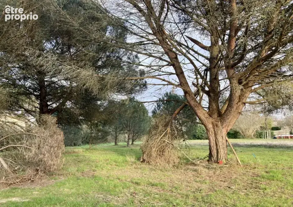 Terrain à CROIGNON