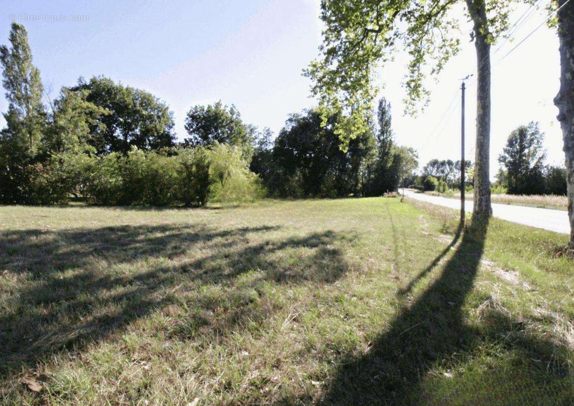 Terrain à BRIATEXTE