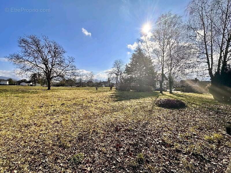 Terrain à NANGY