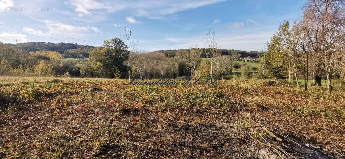 Terrain à SAINT-ASTIER