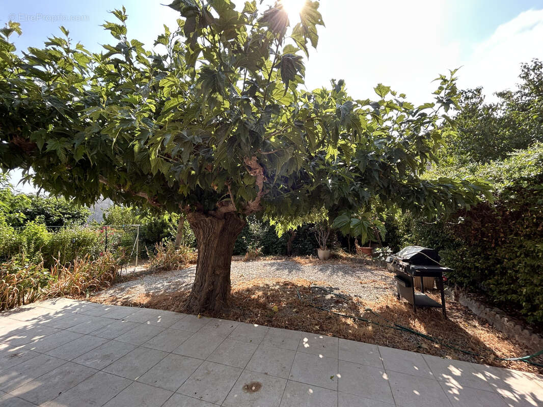 A 13 min de Carcassonne, Pavillon de 148 m2 avec garage et jardin - photo 4