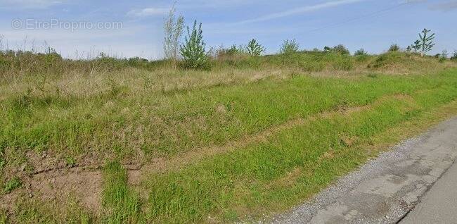 Terrain à EMMERIN