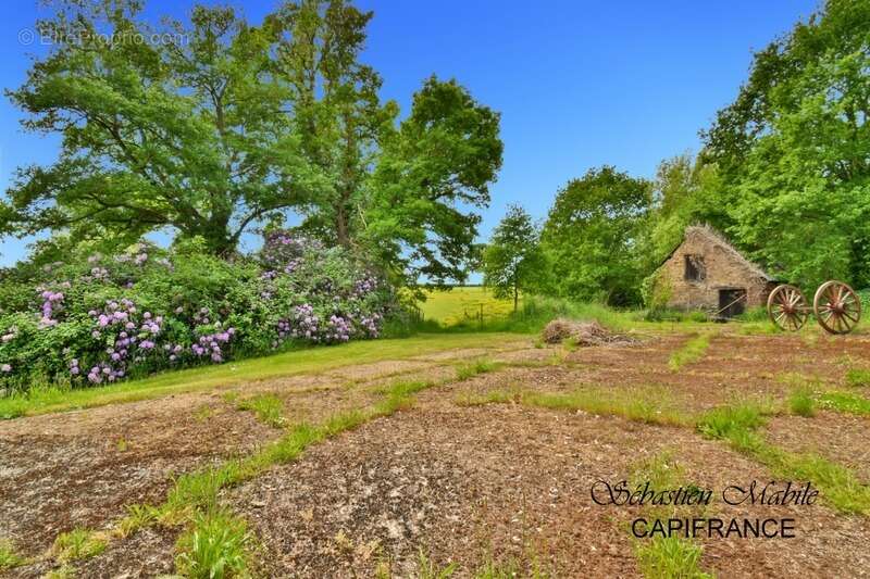 Maison à SAINT-AUBIN-DE-TERREGATTE