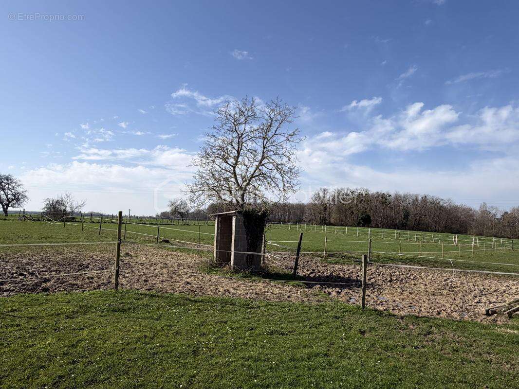 Très beau corps de ferme avec ses dépendances, le tout dans un secteur isolé ! - photo 13