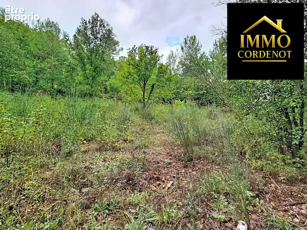 Terrain 5 995 m² à vendre à Neoules (83136) - photo 2