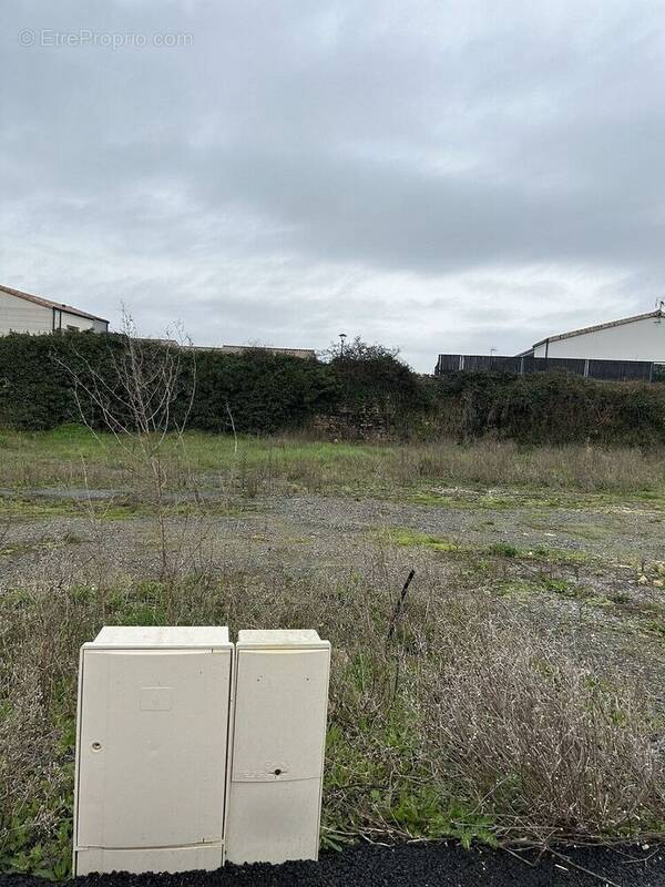 Terrain à LA MOTHE-ACHARD