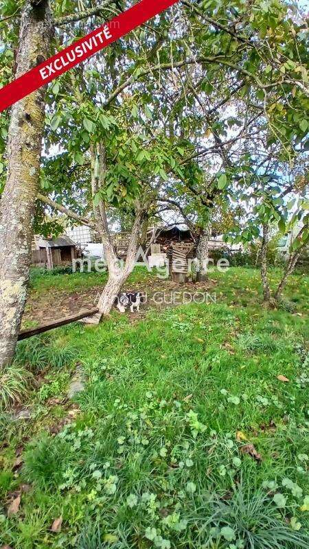 Maison de 70 m² sur plus de 3000 m² de terrain – Saint-Vincent-des-Landes (44) - photo 6