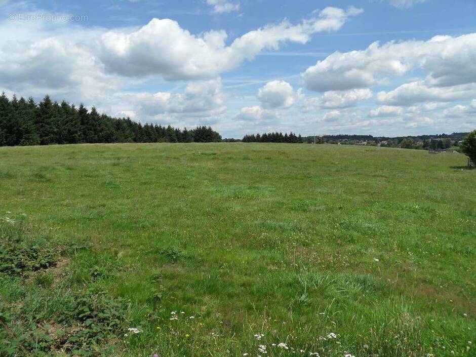 Terrain à SAINT-YRIEIX-LA-PERCHE