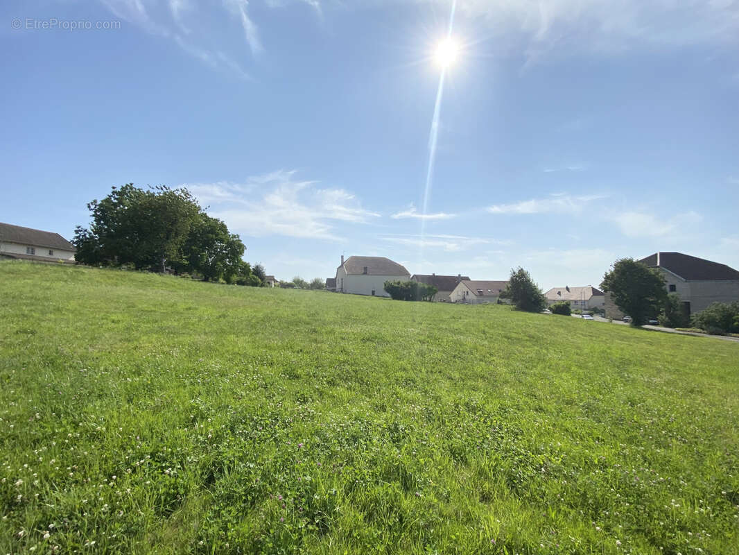 Terrain à FOUCHERANS