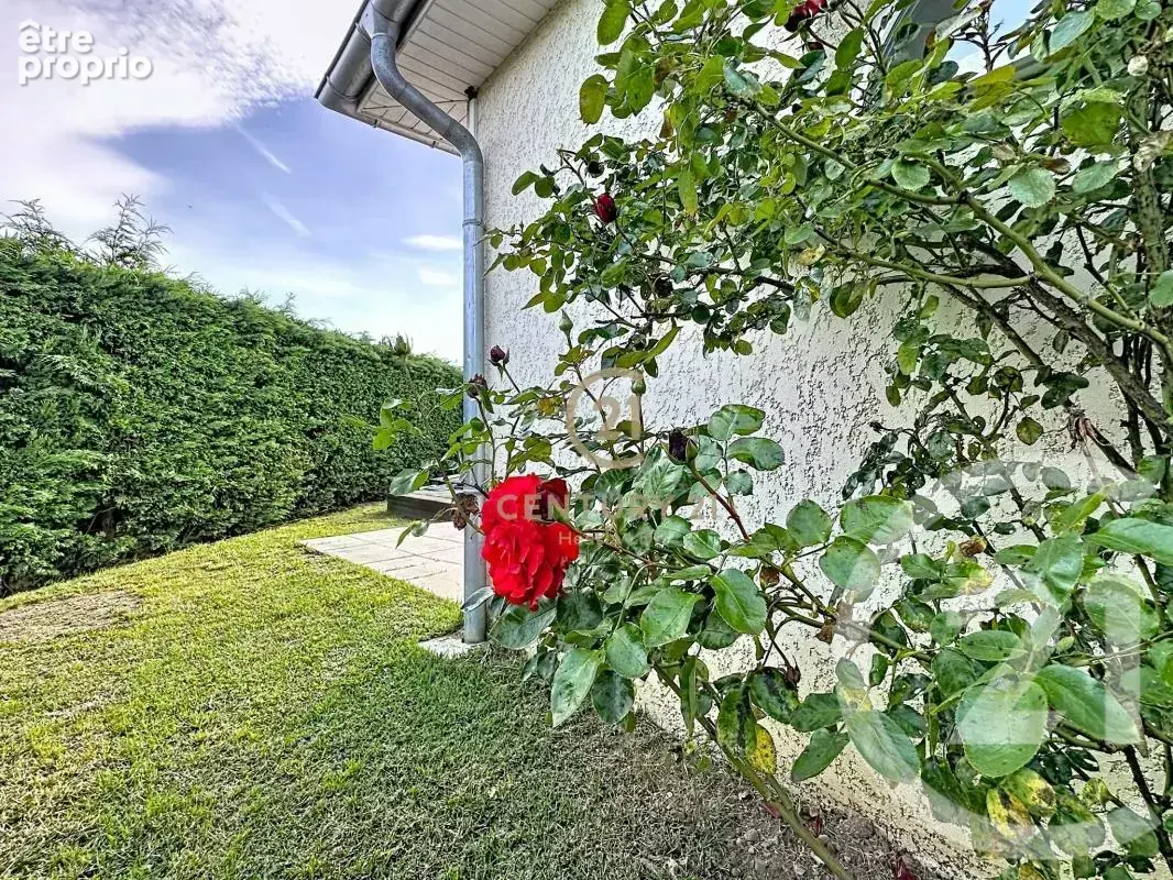 Maison 97 m² à Rive-De-Gier  - photo 5