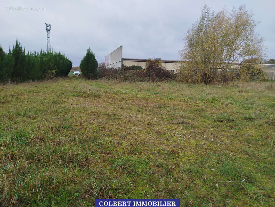 Terrain à APPOIGNY