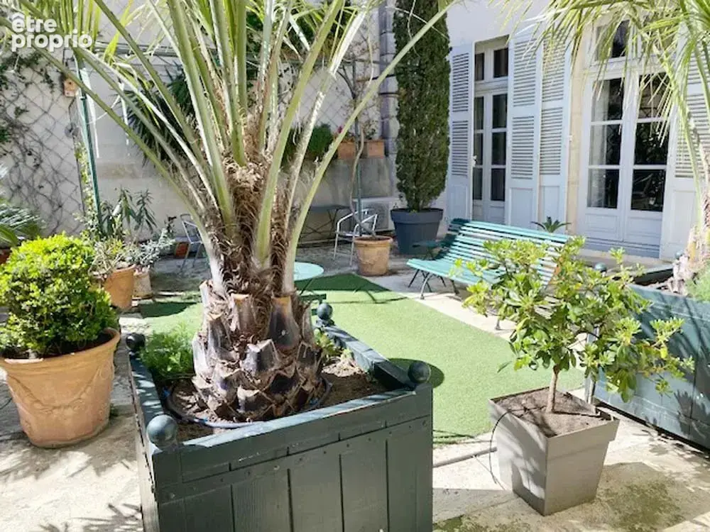Avignon Intra-Muros: Appartement 160 m² avec Vaste Terrasse - photo 4