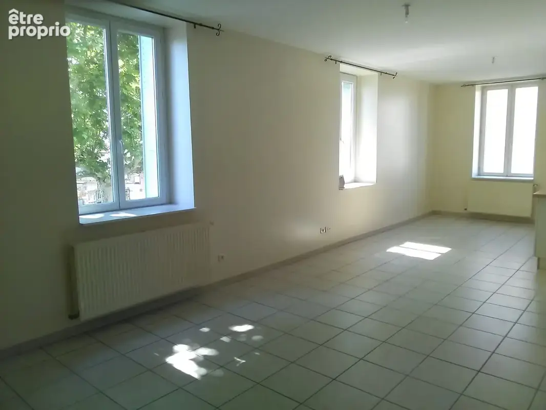 Immeuble 400m2 quincieux - photo 12
