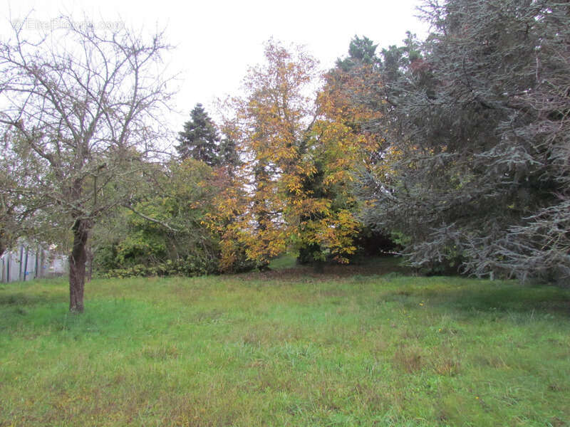 Maison à DORLISHEIM