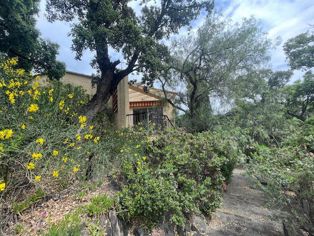 Maison à COLLIOURE