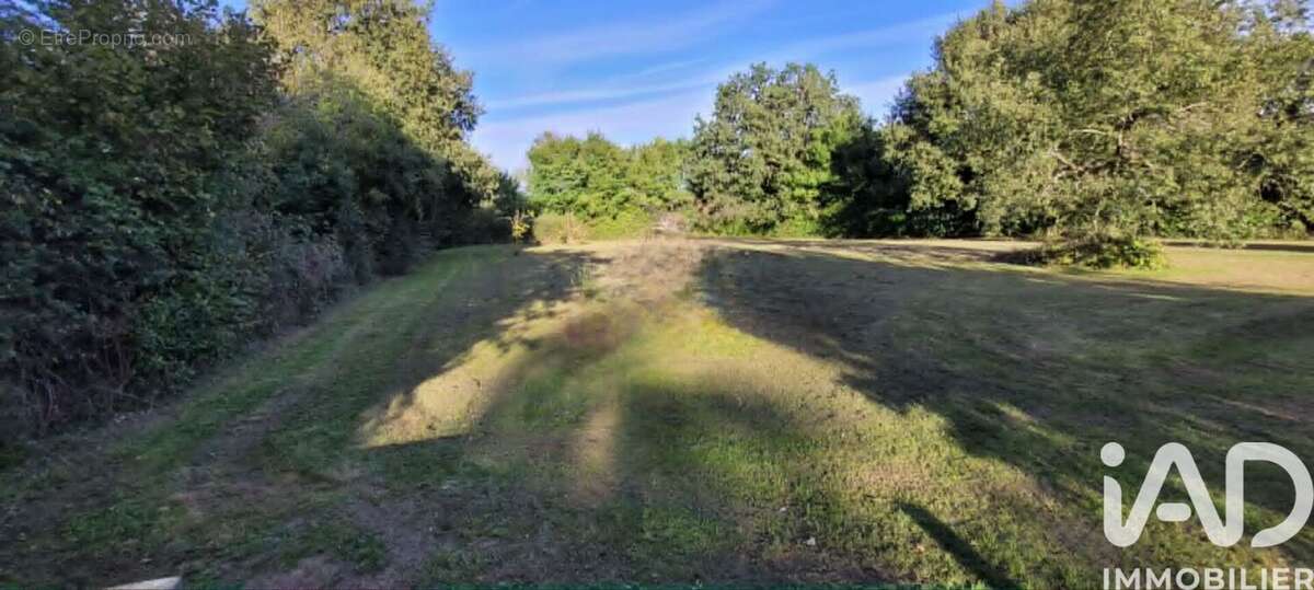 Terrain 1257 m² à Nouaille-Maupertuis  - photo 3