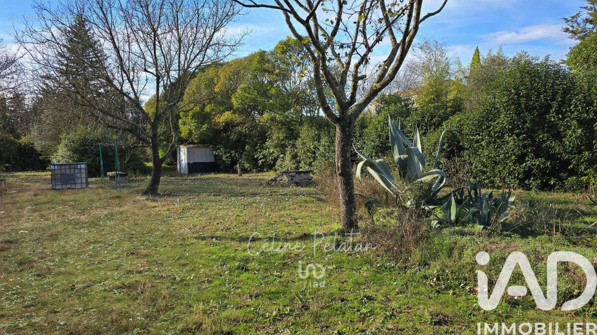 Photo 1 - Terrain à AUBAIS