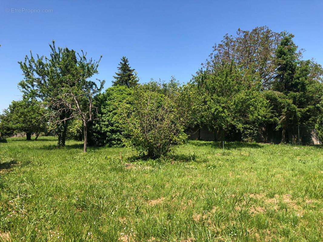 Terrain constructible de 1 220 m²; Environnement calme et cadre de vie privilégié - photo 5