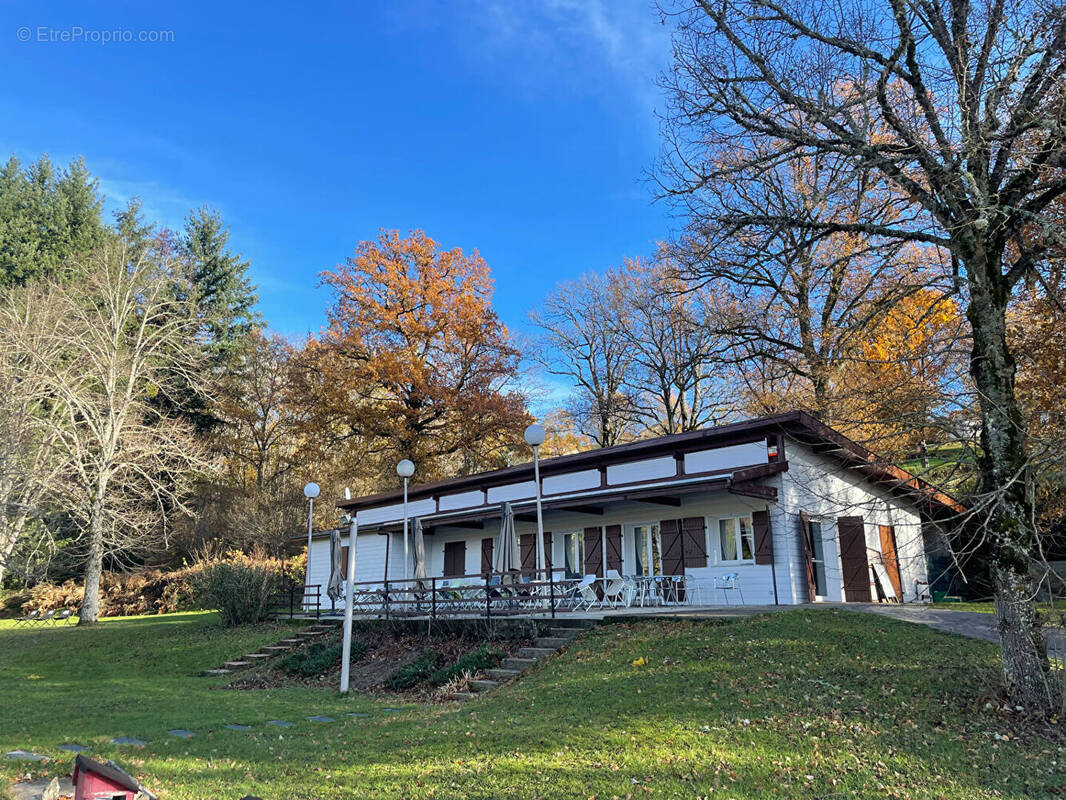 Commerce à SAINT-REMY-SUR-DUROLLE