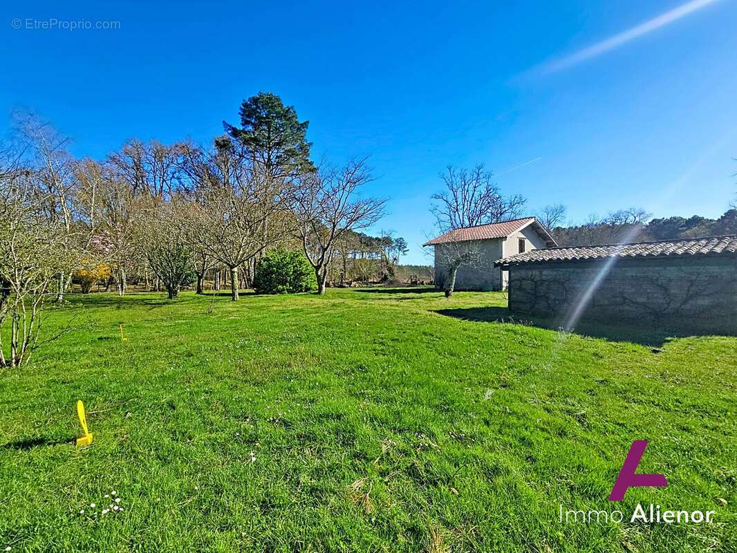 Terrain à BELIN-BELIET