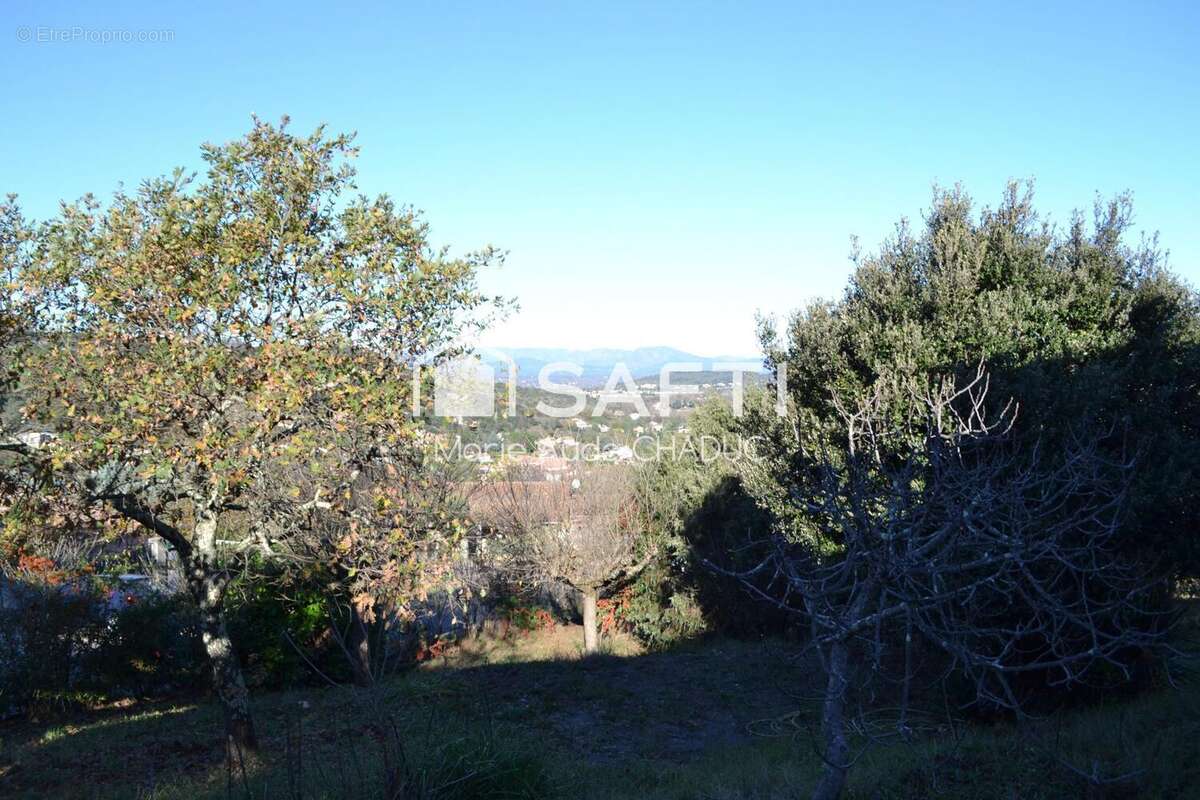 Photo 4 - Maison à SALAVAS