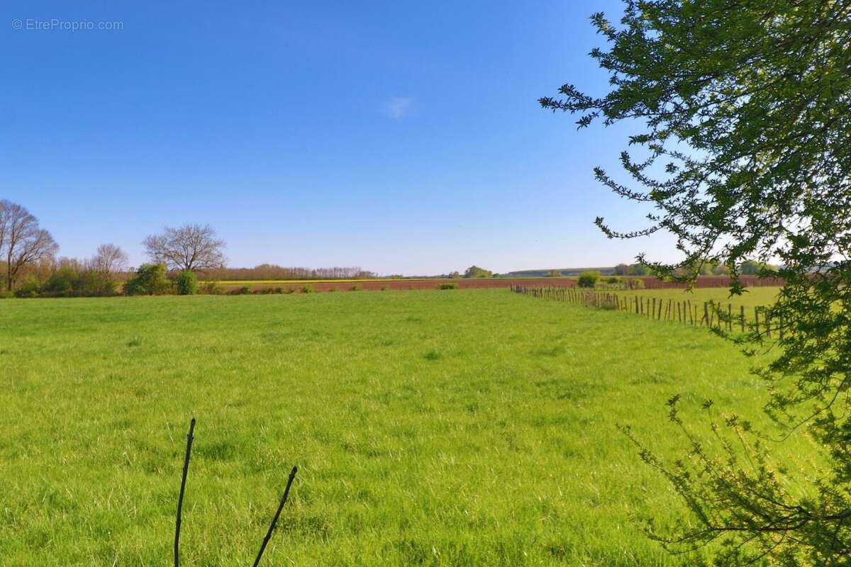 Maison à LECHATELET