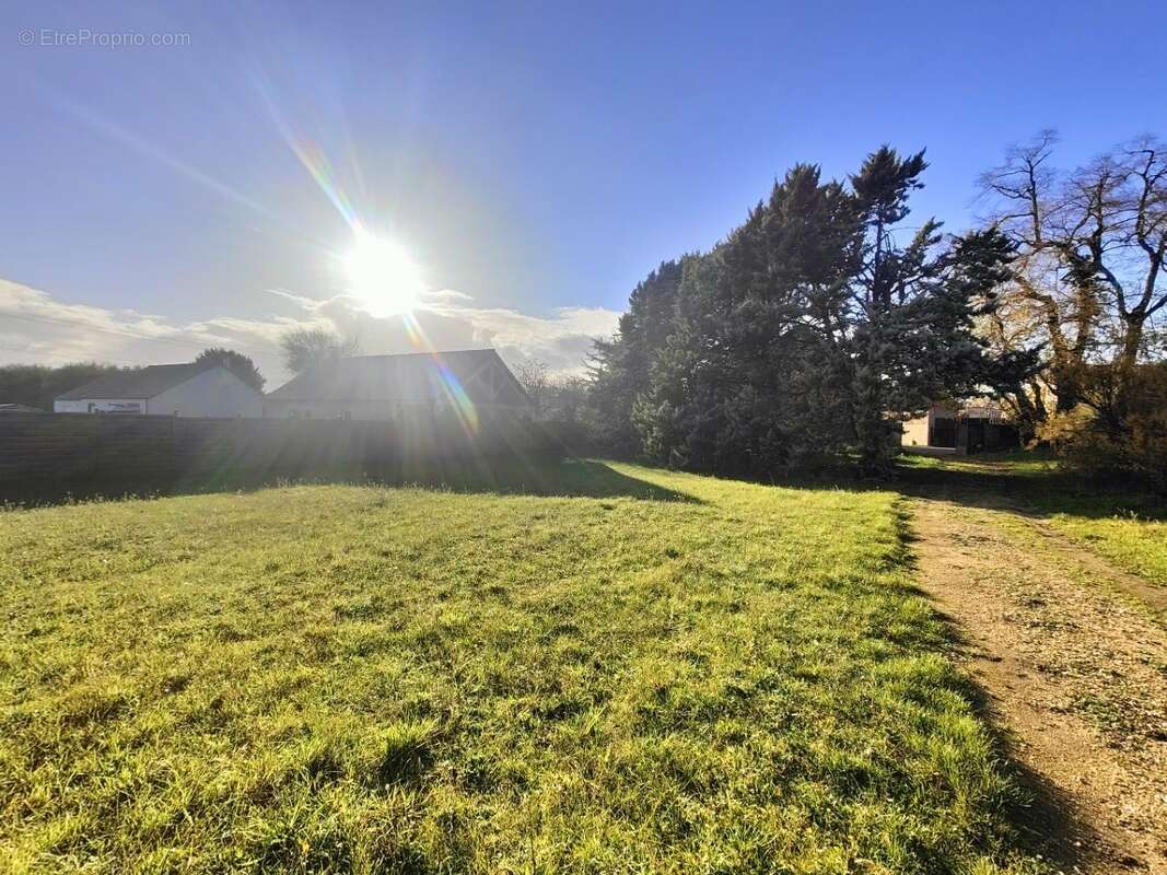 Terrain à PITHIVIERS